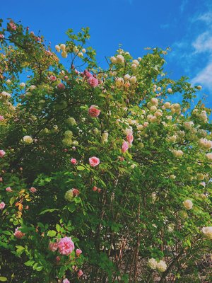 Processed with VSCO with k3 preset